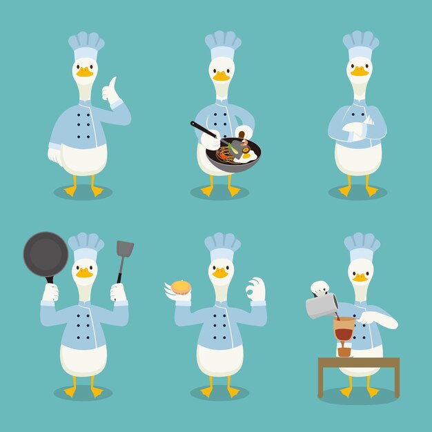 Vector cute duck chef character collection