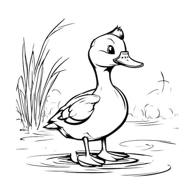 Vector cute duck for coloring book