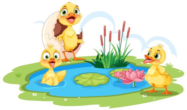 Cute Ducks in the Pond