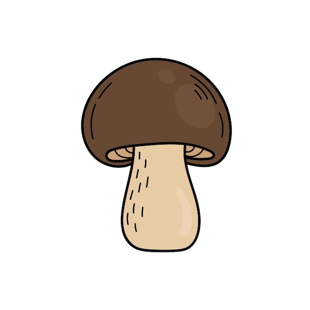 Cute edible mushroom in doodle style. Ingredients for cooking, salads. Autumn plant harvesting. Vector hand illustration