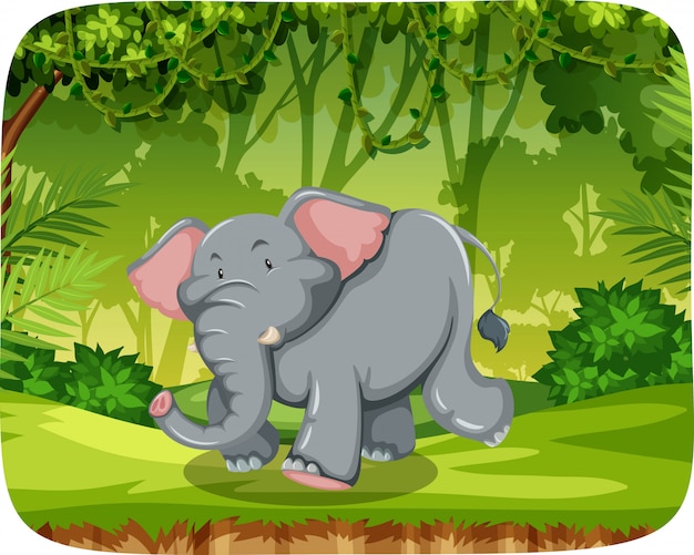 Vector cute elephant in nature scene