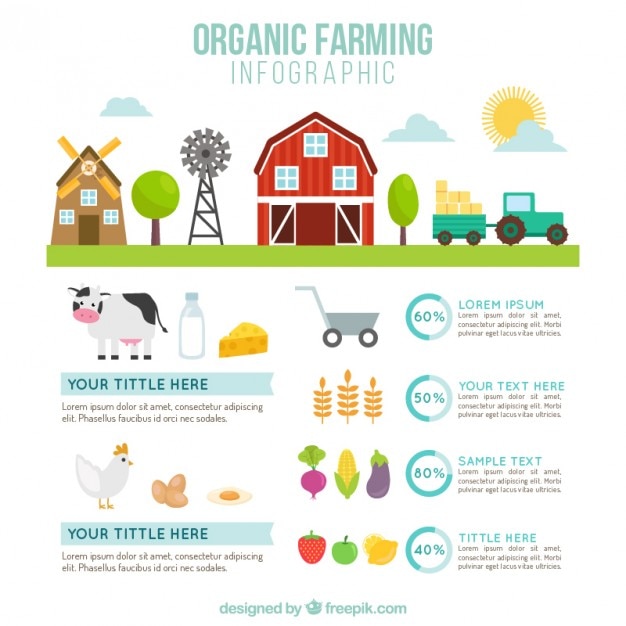 Vettore farm carino con attrezzi agricoli infografia