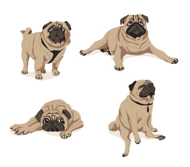 Vector cute fawn pug dogs set