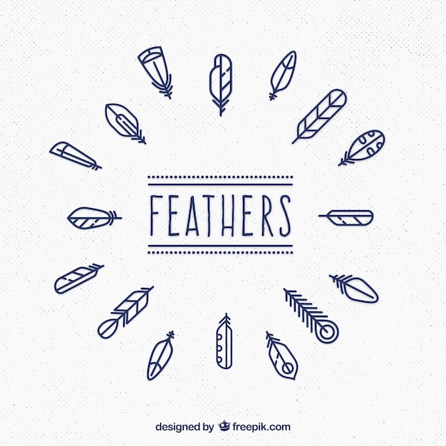 Vector cute feathers collection