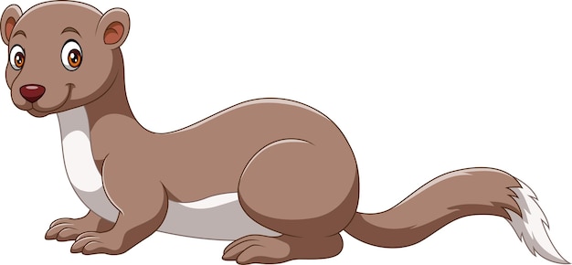 Cute ferret cartoon on white background