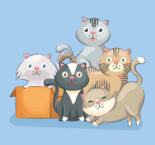 Vector cute five cats