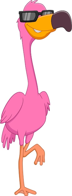 Vector cute flamingo bird isolated on white background