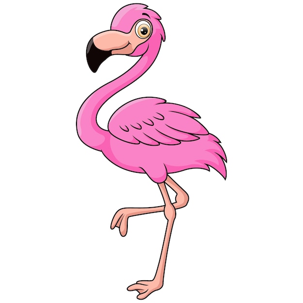 Cute flamingo cartoon on white background