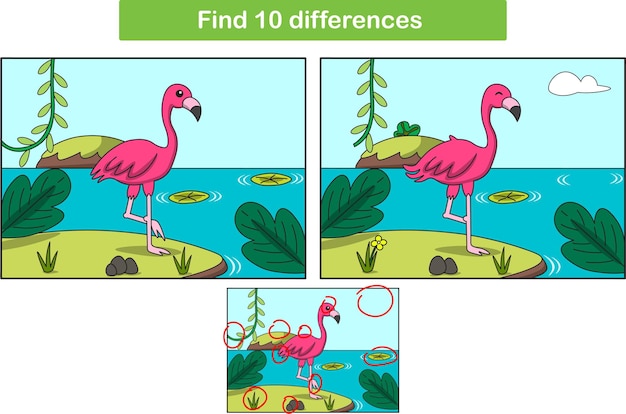Cute flamingo Find 10 differences