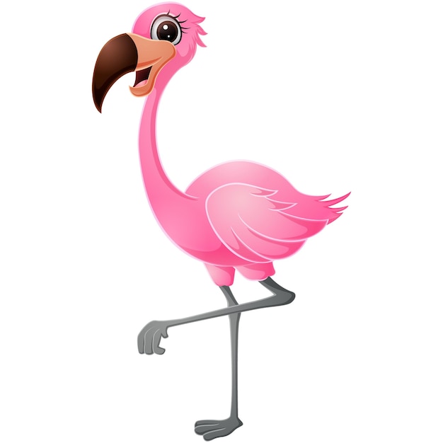 Vector cute flamingo on white background