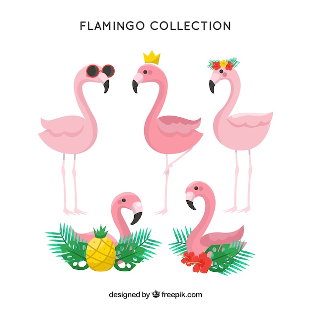 Vector cute flamingos collection in hand drawn style