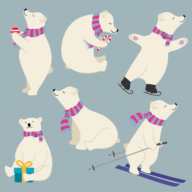 Cute flat design polare bears collection