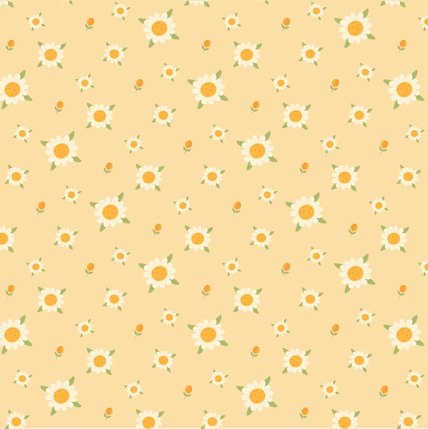 cute flat style tiny white daisy flower on orange pastel backgorund