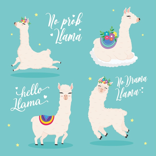 Vector cute flour alpacas exotic animals characters with flowers and lettering illustration design