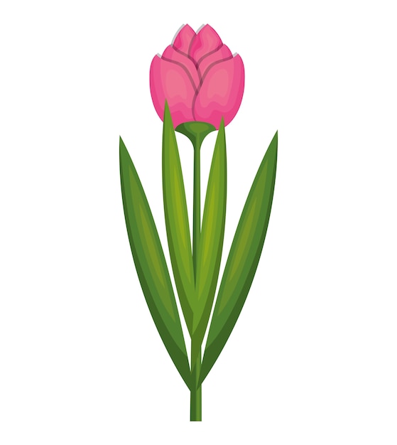 Vector cute flower isolated icon vector illustration design