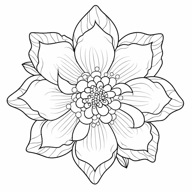 Cute flowers printable coloring page spring floral isolated on white background