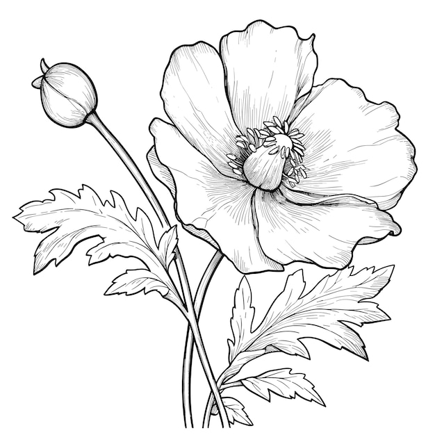 Cute flowers printable coloring page spring floral isolated on white background