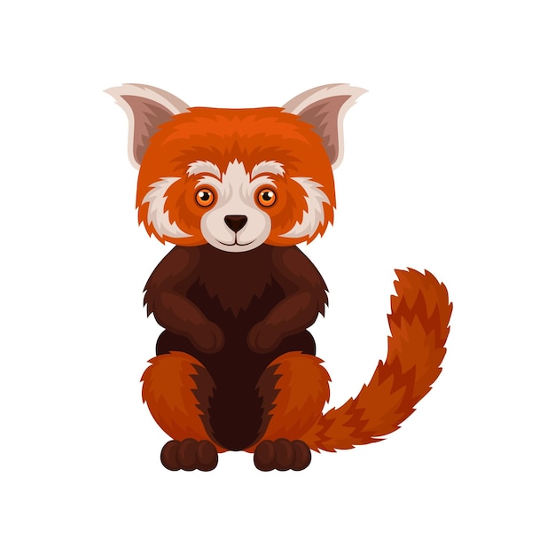 Cute fluffy chinese red panda wild animal vector Illustration isolated on a white background