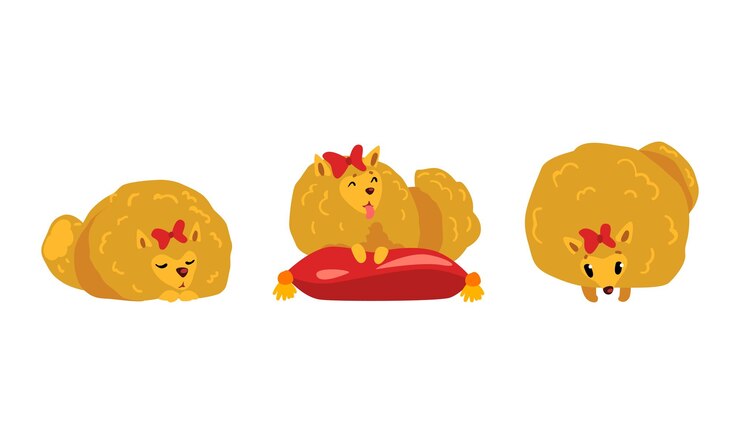 Vector cute fluffy dog with red bow set adorable spitz pet animal activity vector illustration