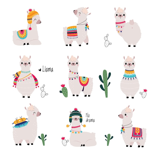 cute fluffy llama or alpaca camelid pack animal vector set