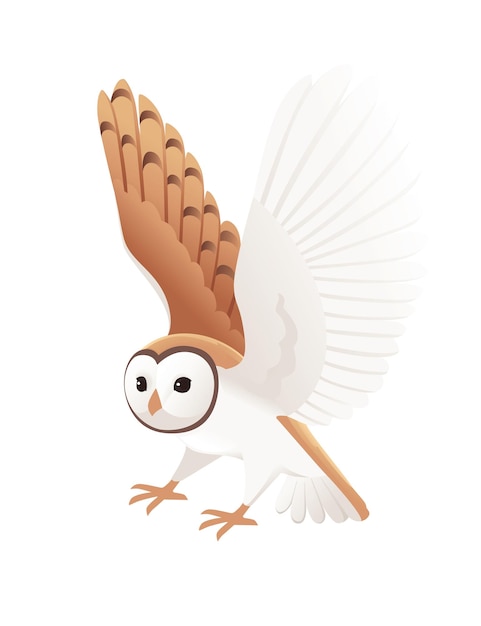 Vector cute flying barn owl tyto alba with white face and brown wings cartoon wild forest bird animal design flat vector illustration isolated on white background