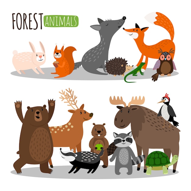 Vector cute forest animals collection