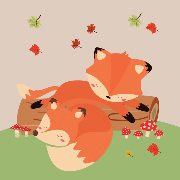 Cute fox in autumn