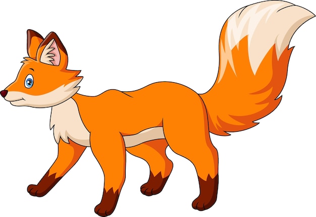Vector cute fox cartoon on white background