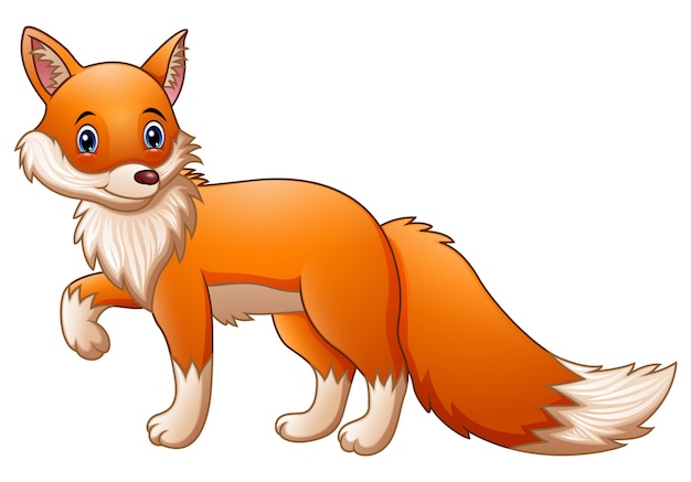 Vector cute fox cartoon