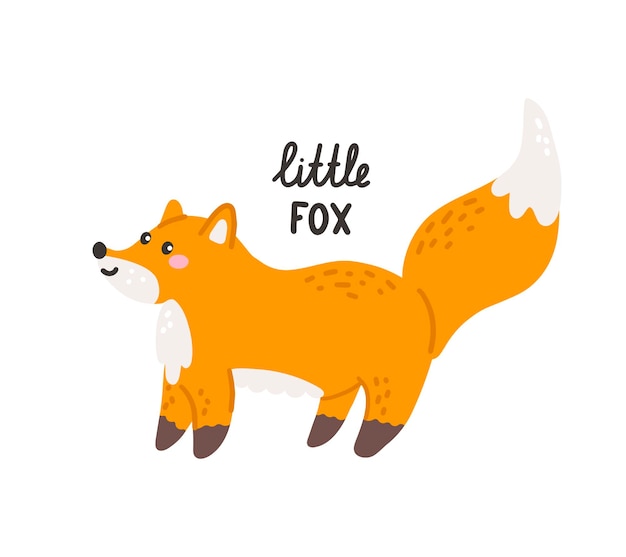 Cute fox with lettering Little FOX Vector hand drawn illustration childrens print for postcards