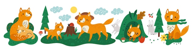Cute foxes compositions Funny animal characters with forest elements and hares Orange mammals Little cubs and parents Vixens sleep in hole or relax at meadow Vector wild predators set