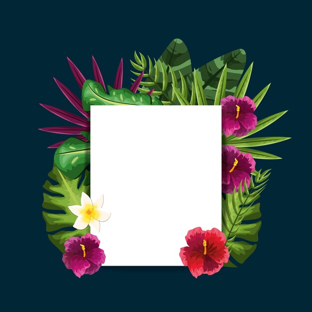 cute framework with exotic flowers plants