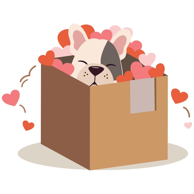 The cute France bulldog in the box with a lot of heart in flat vector style