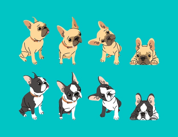 Vector cute french bulldog in some different moves vector illustration