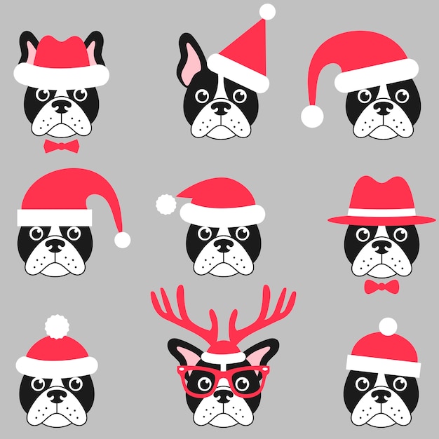 Cute french bulldogs with red santa hats