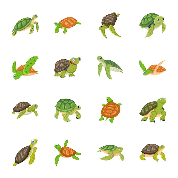 Vector cute freshwater turtles flat icons