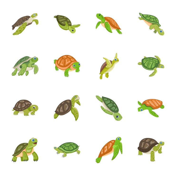 Vector cute freshwater turtles flat icons