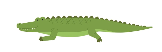 Cute friendly crocodile. Side view of happy smiling alligator isolated on white background. African wild baby gator. Childish colored flat cartoon vector illustration.