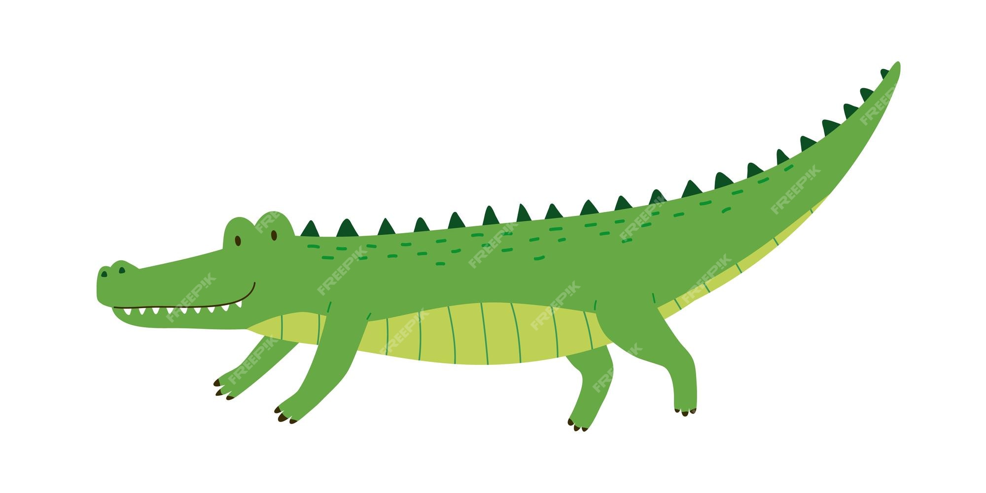 Premium Vector | Cute friendly green crocodile with raised tail. side view of happy smiling alligator isolated on white background. african wild gator. childish colored flat cartoon vector illustration. Premium Vector | Cute friendly green crocodile with raised tail. side view of happy smiling alligator isolated on white background. african wild gator. childish colored flat cartoon vector illustration.