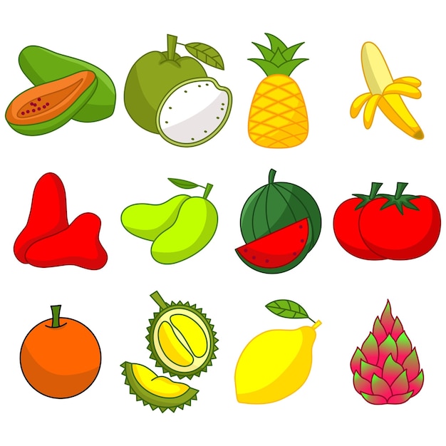 Vector cute fruit illustration vector bundle