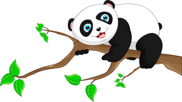 Carino panda divertente del bambino