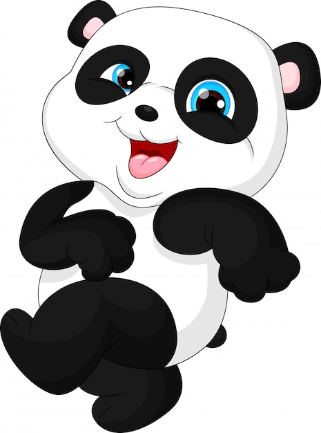 Cute funny baby panda