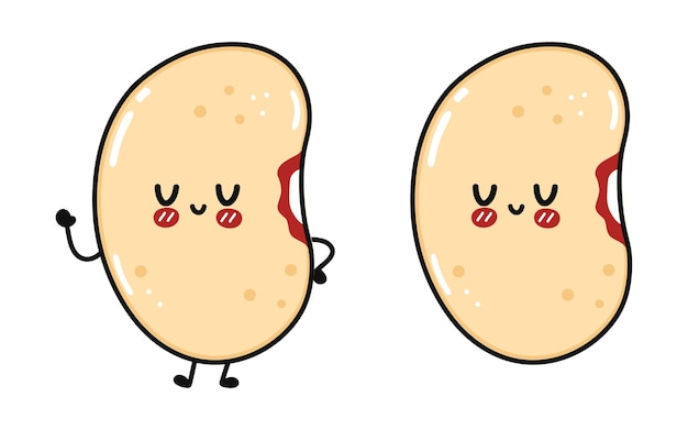 cute funny bean character vector hand drawn cartoon kawaii character illustration icon isolated on white background happy soy bean character concept