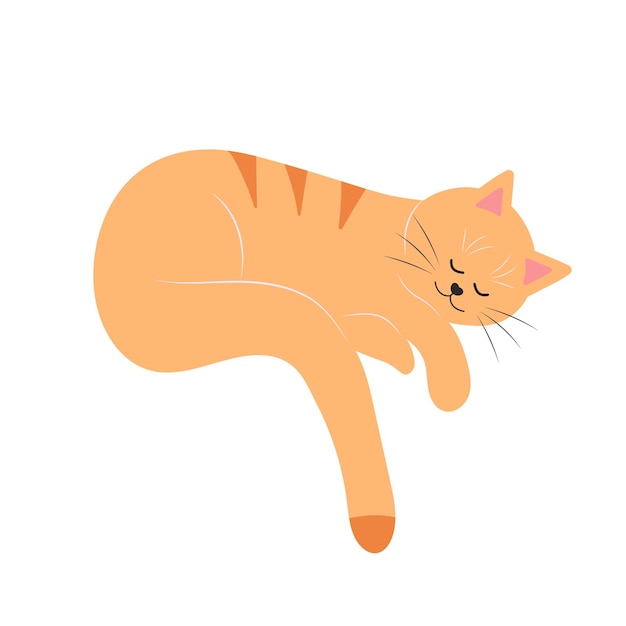 Cute funny cat Fat pet animal Cartoon character Flat vector illustration