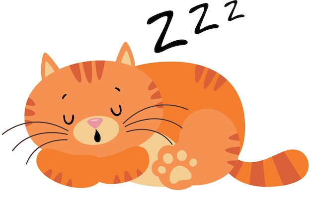 かわいい面白い猫が孤独に眠っている