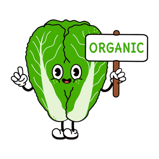 Vector cute funny chinese cabbage with an inscription organic character