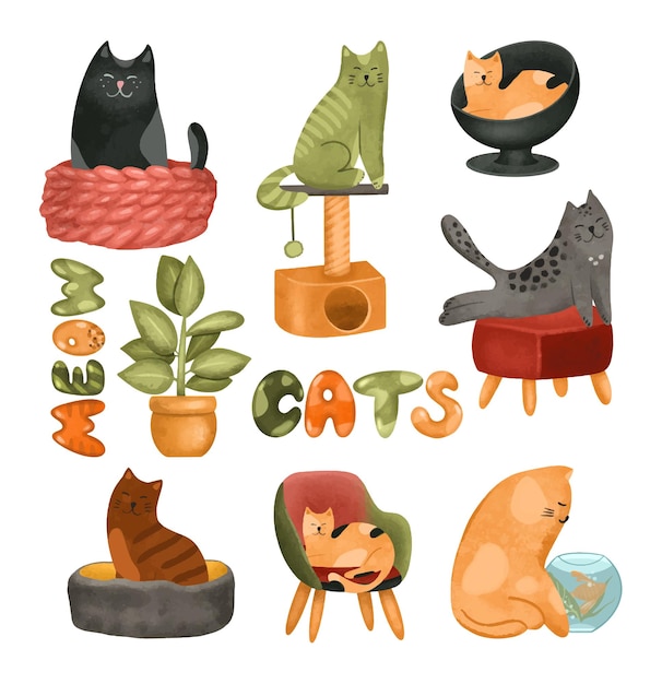 Set di gatti colorati carini e divertenti e letti per gatti