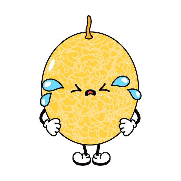 Cute funny crying sad melon character