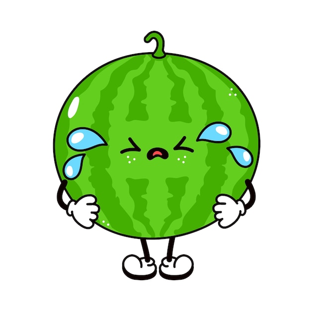 Cute funny crying sad watermelon character