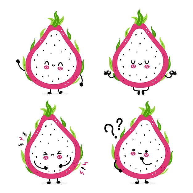 Cute funny dragon fruit set collection